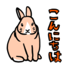 Mohumohu usagi for all rabbits lovers