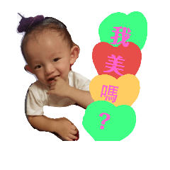 豪哥來了之日常用語2