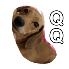 嘟嘟寶寶小可愛