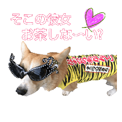 ナイト君スタンプ