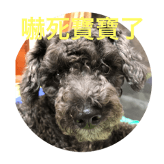 陳甘寶