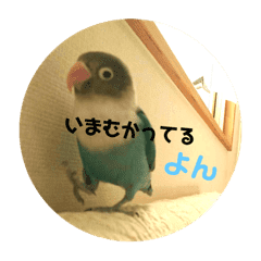 ブルーボタンインコ のスイカちゃん Line スタンプ Line Store