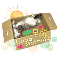 咪咪的日常貼圖