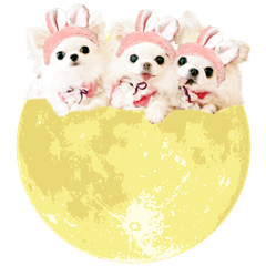 お月見うさぎわんこ Line スタンプ Line Store