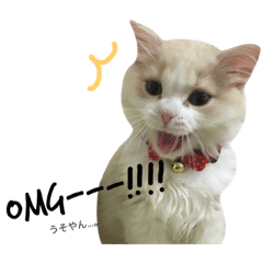 Miluokun