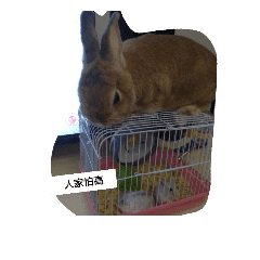 丸いかわいい毎日 Line スタンプ Line Store