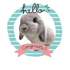 Rabbit Momo's stamps.