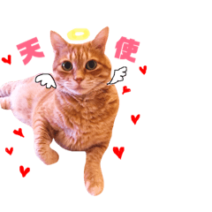 chiro chan3