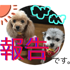 kinako  &&nbsp; &nbsp;sebasuchan