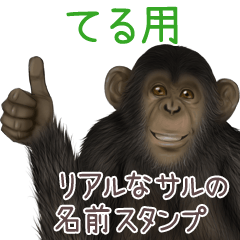 Teru Monkey's real name Sticker