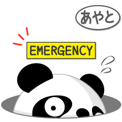 Mr. Panda for AYATO only [ver.2]