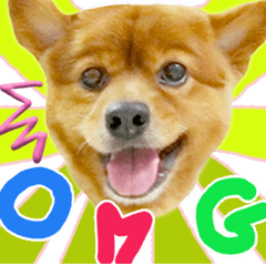 Emoji Anjing lucu