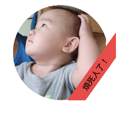 丸子的日常生活