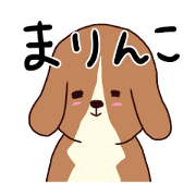 Marinco chan