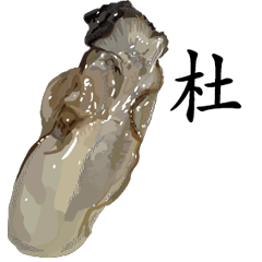 Oyster Sticker 084