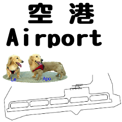 Airport Name of Apo&Le