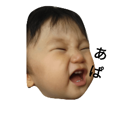 koheinonichijo2