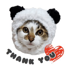This's a cat and dogs sticker!!