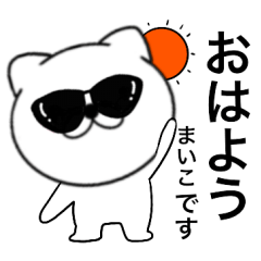 Sunglasses Cat Maino