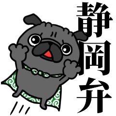 tanuchan Shizuoka BLACK pug
