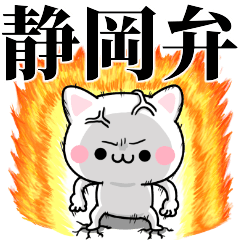 tanuchan Shizuoka cat
