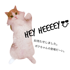 Miluokun part2