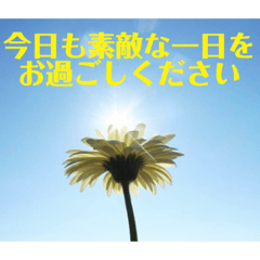 flower photo messages 1 (Japanese)
