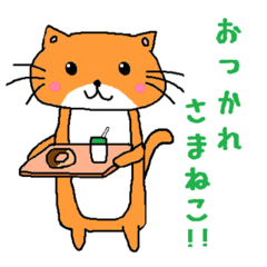 kawausoneko