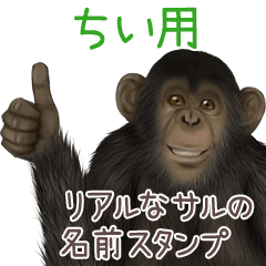 Chii Monkey's real name Sticker