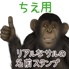 Chie Monkey's real name Sticker