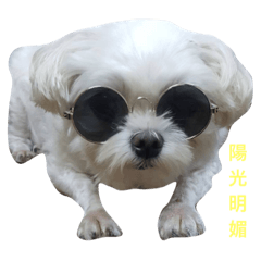 古錐的賣萌照