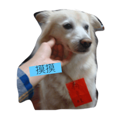 可樂麻吉之歌 球啊