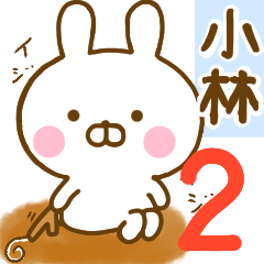 Rabbit Usahina kobayashi2 2