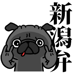 新潟弁 黒パグさん Line スタンプ Line Store