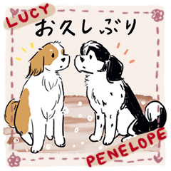 LUCY & PENELOPE(日本語版)