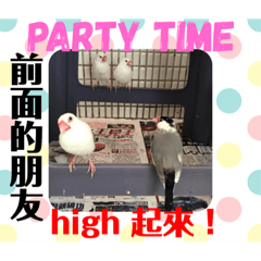 tt520文鳥Party