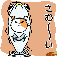 A cat in saury clothing (fall-winte ver)
