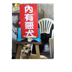 拿鐵的日常3