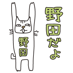 Only for Mr. Noda Banzai Cat