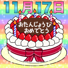 11月17日～30日 2種類日付入り誕生日ケーキ