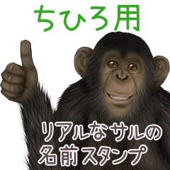 Chihiro Monkey's real name Sticker