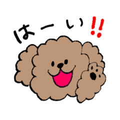 maichi_20180918205214