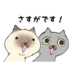 Sticker of Cute two cats