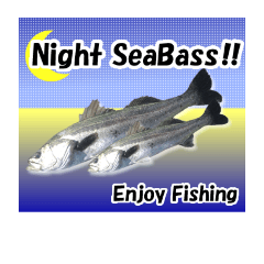 Seabass Fishing