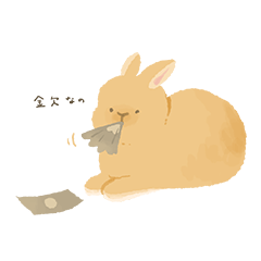 Riku the fluffy bunny more!