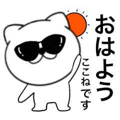 Sunglasses Cat Kokone