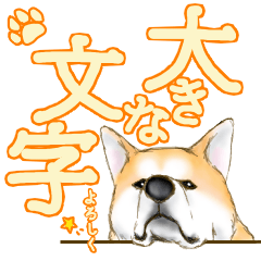 I love the Akita dog 2