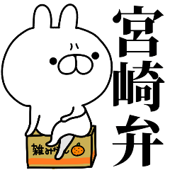 tanuchan miyazaki rabbit