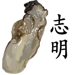 Oyster Sticker 144