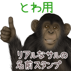 Towa Monkey's real name Sticker